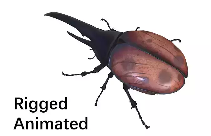 beetle dynastes Low-poly 3D model