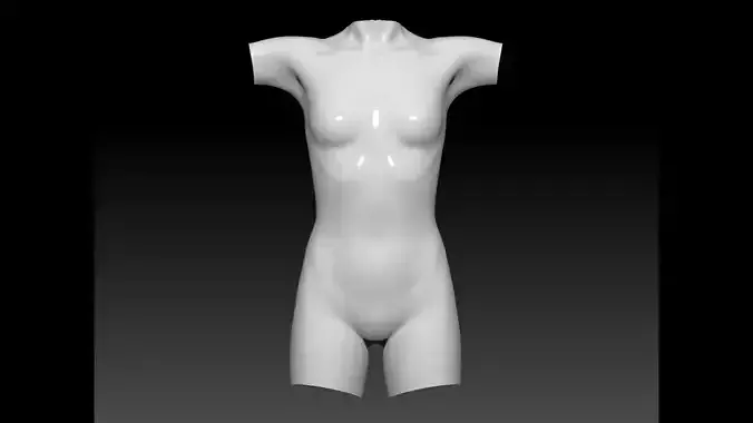 torso 3D model mannequin