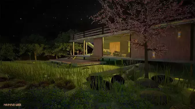 SHALLE house with grass and trees at night