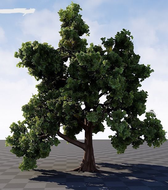 Oak Tree 3D model_1