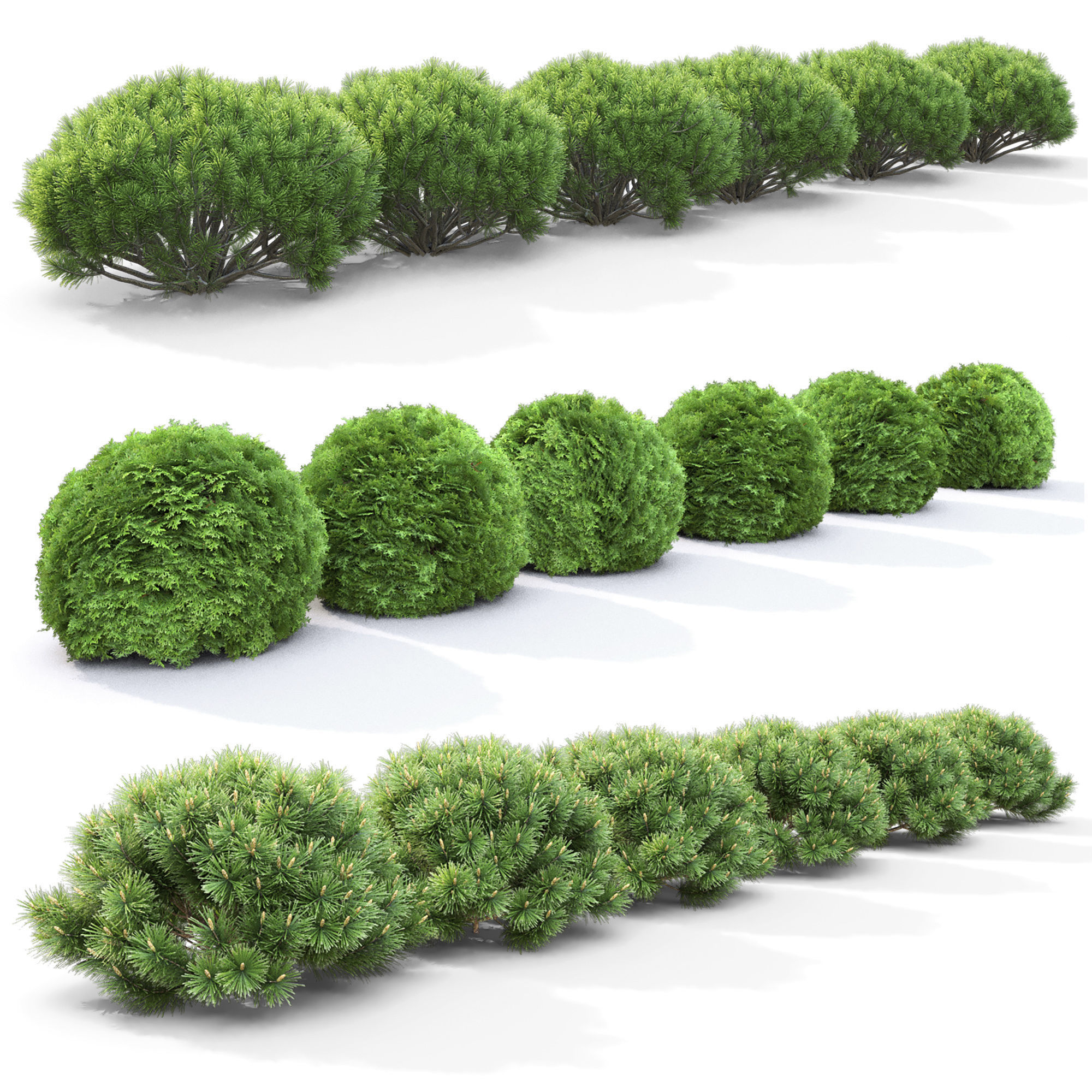 Plant set 02 3D model_4