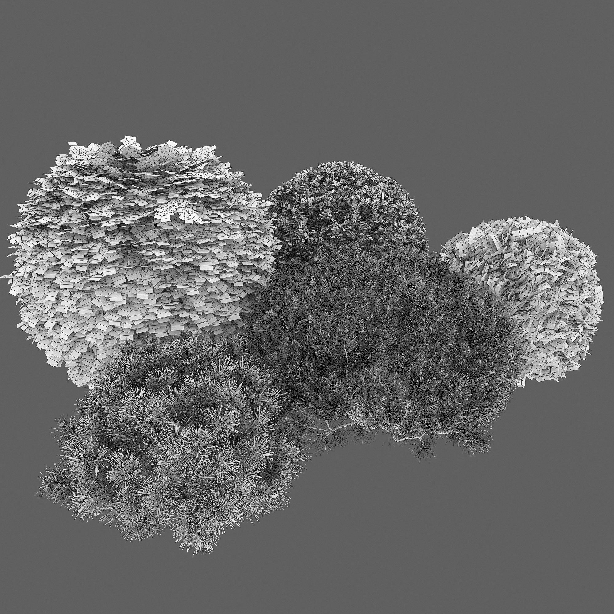 Plant set 02 3D model_6