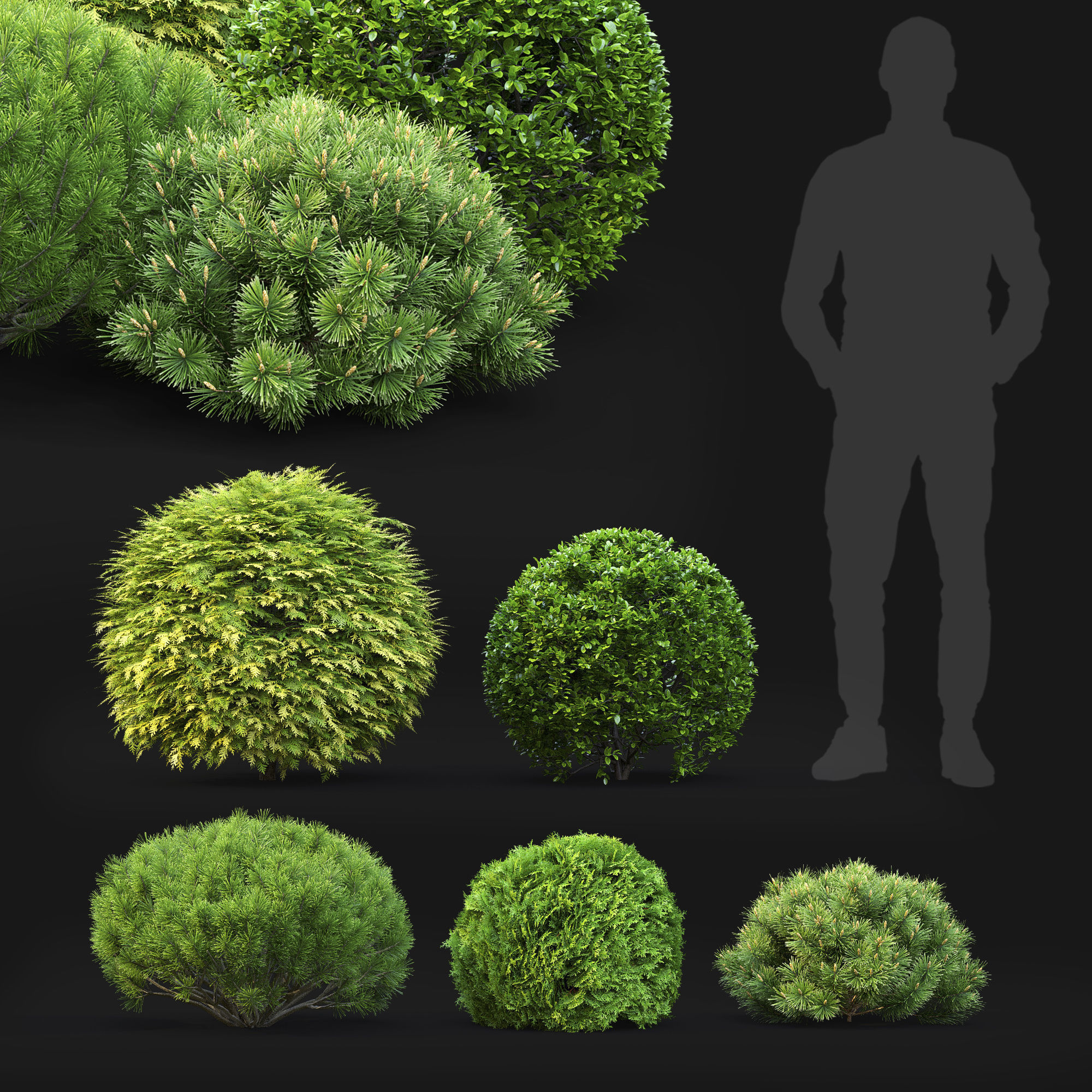 Plant set 02 3D model_2