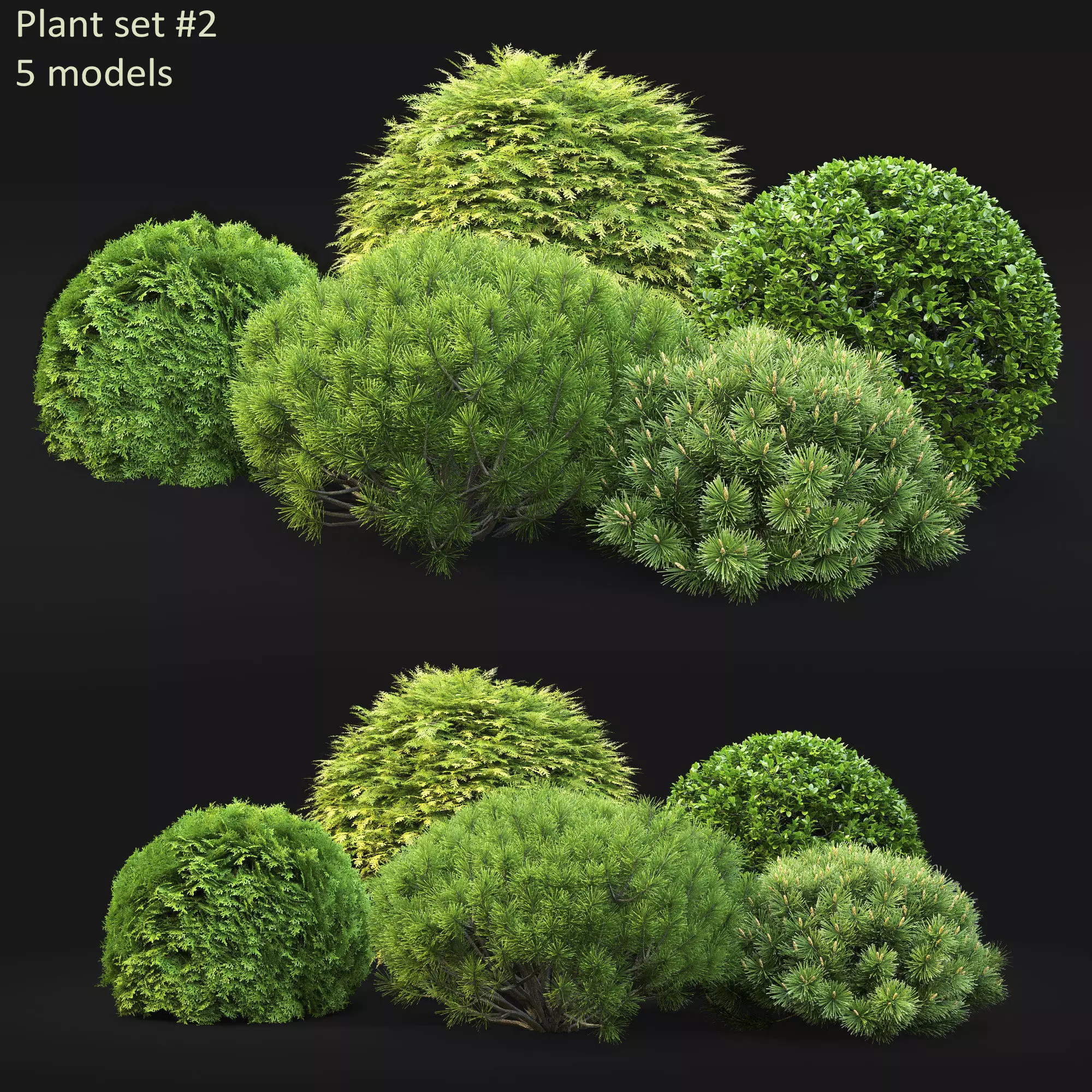 Plant set 02 3D model_0
