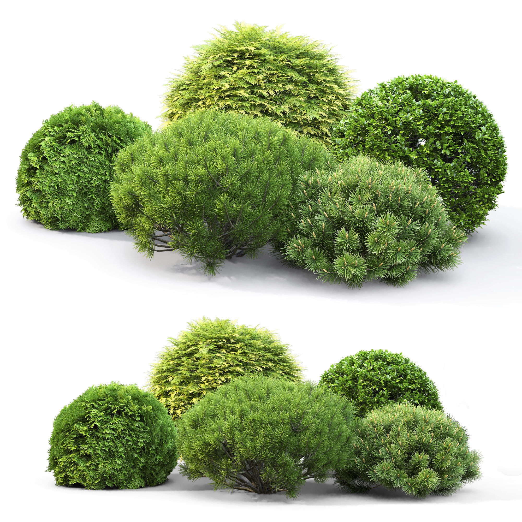 Plant set 02 3D model_1