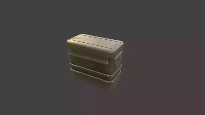 Ammo case