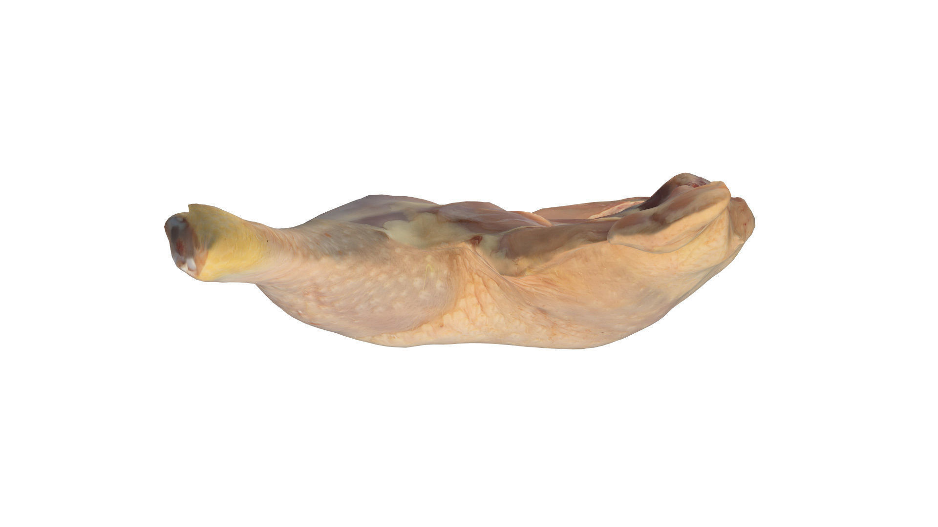 Chicken Leg Free 3D model_3