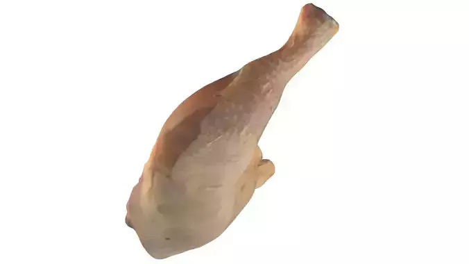 Chicken Leg