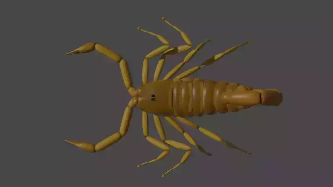 scorpion