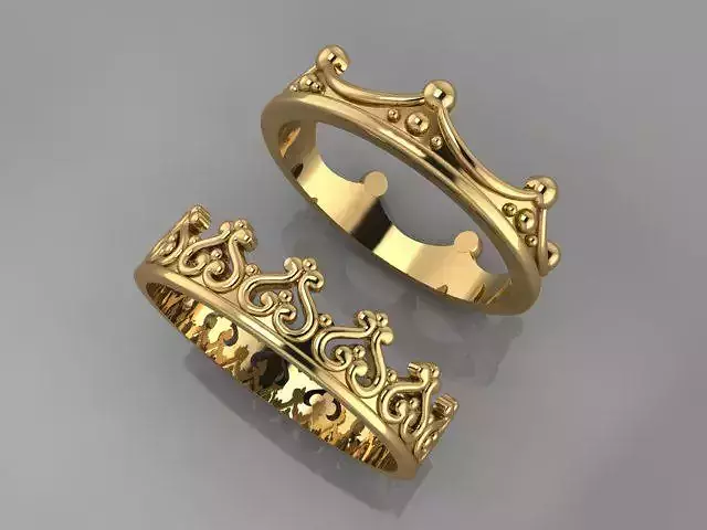 TWIN RINGS 3D print model