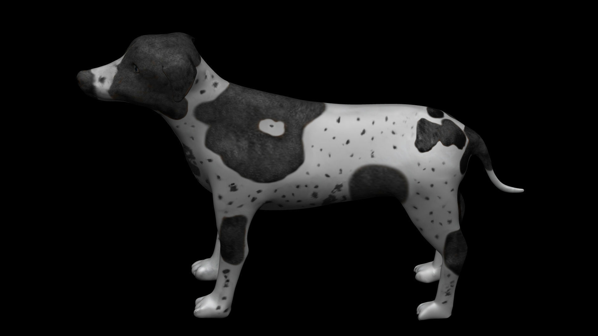 German Short hair Black pointer Dog Low-poly 3D model_4