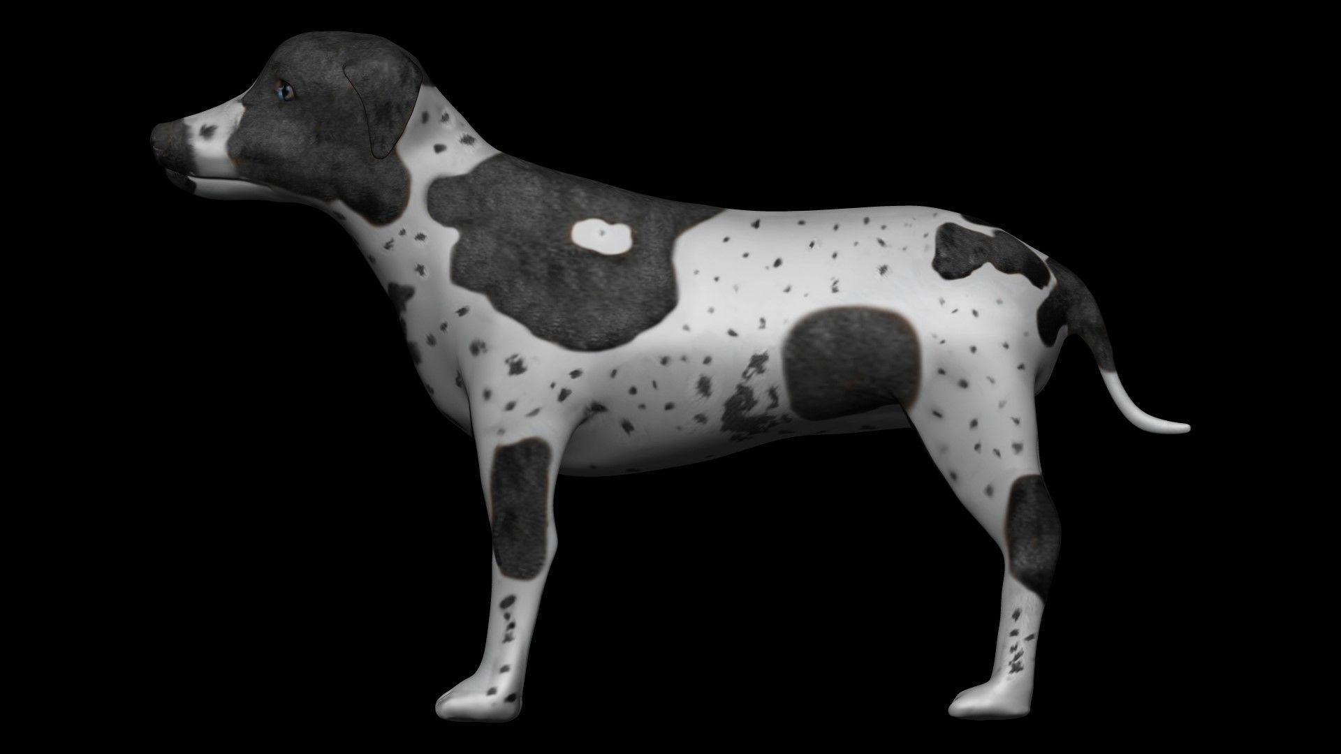 German Short hair Black pointer Dog Low-poly 3D model_6
