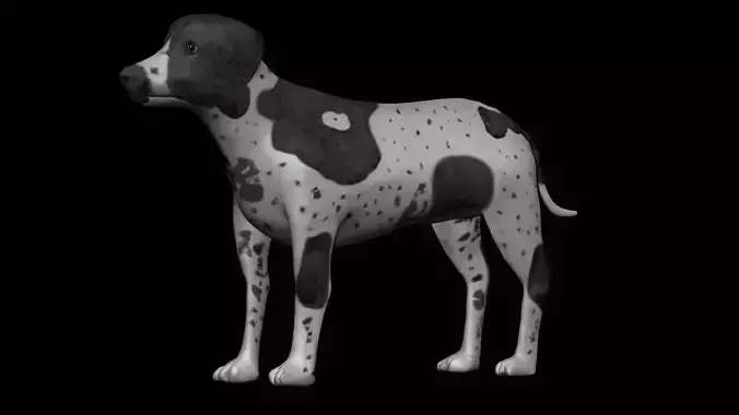 German Short hair Black pointer Dog Low-poly 3D model