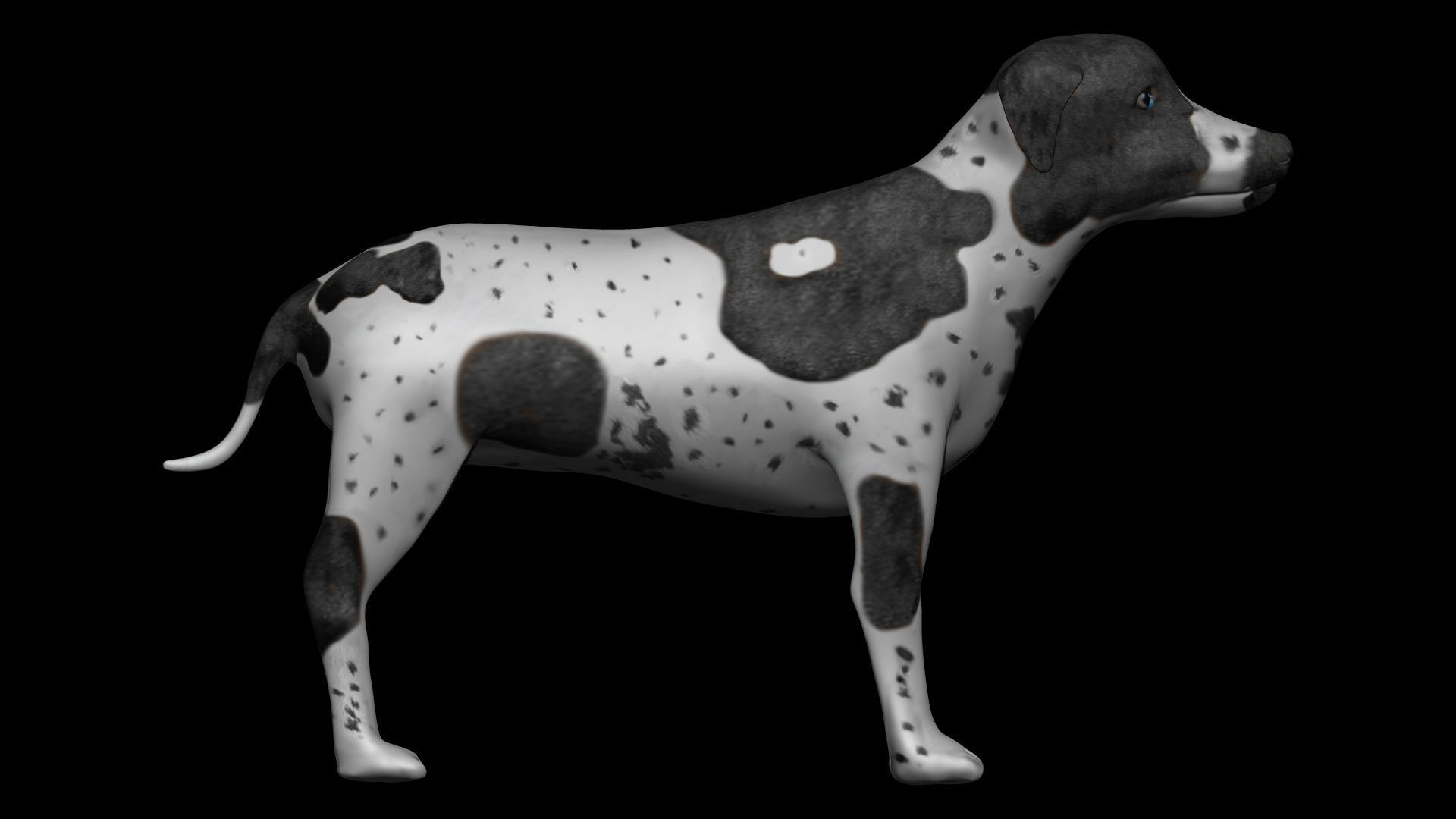 German Short hair Black pointer Dog Low-poly 3D model_3