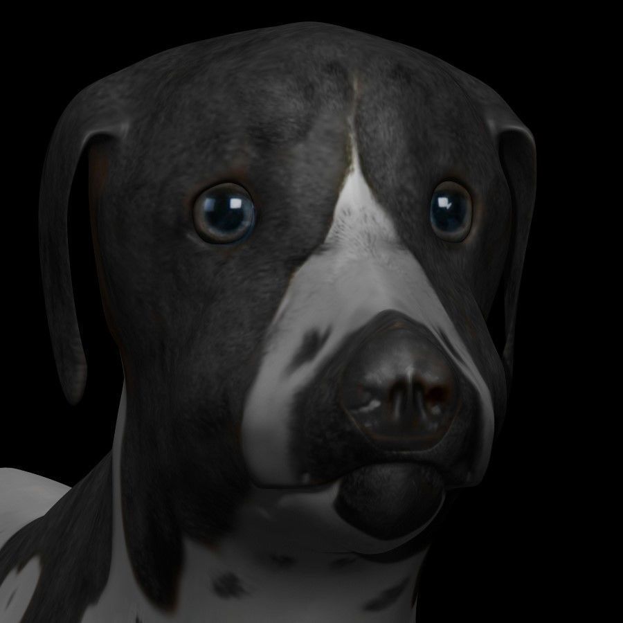 German Short hair Black pointer Dog Low-poly 3D model_2