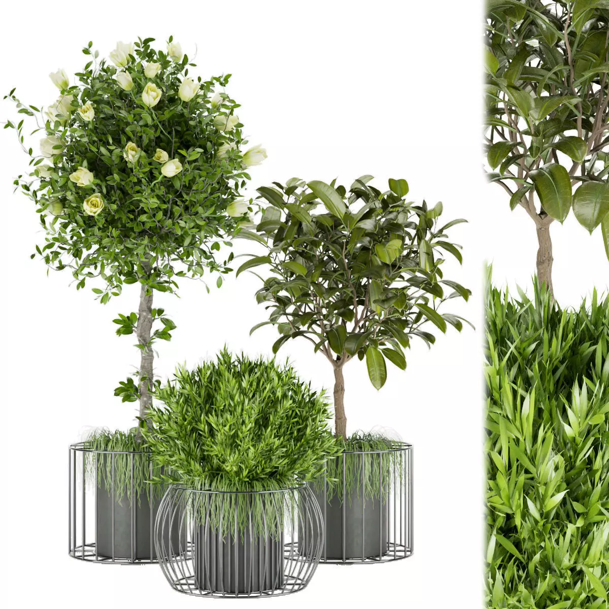 Collection plant vol 58 3D model