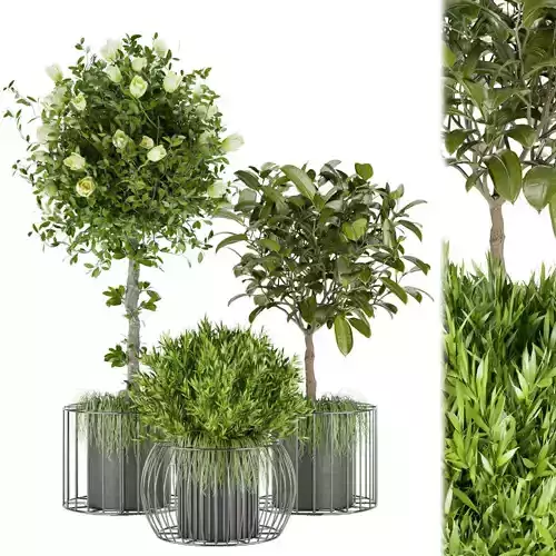 Collection plant vol 58 3D model