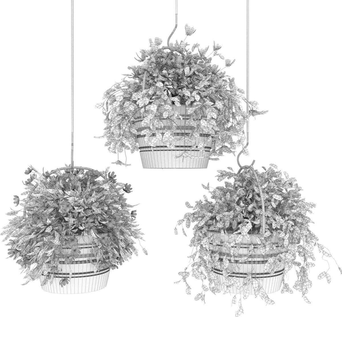 Collection plant vol 66 3D model_3