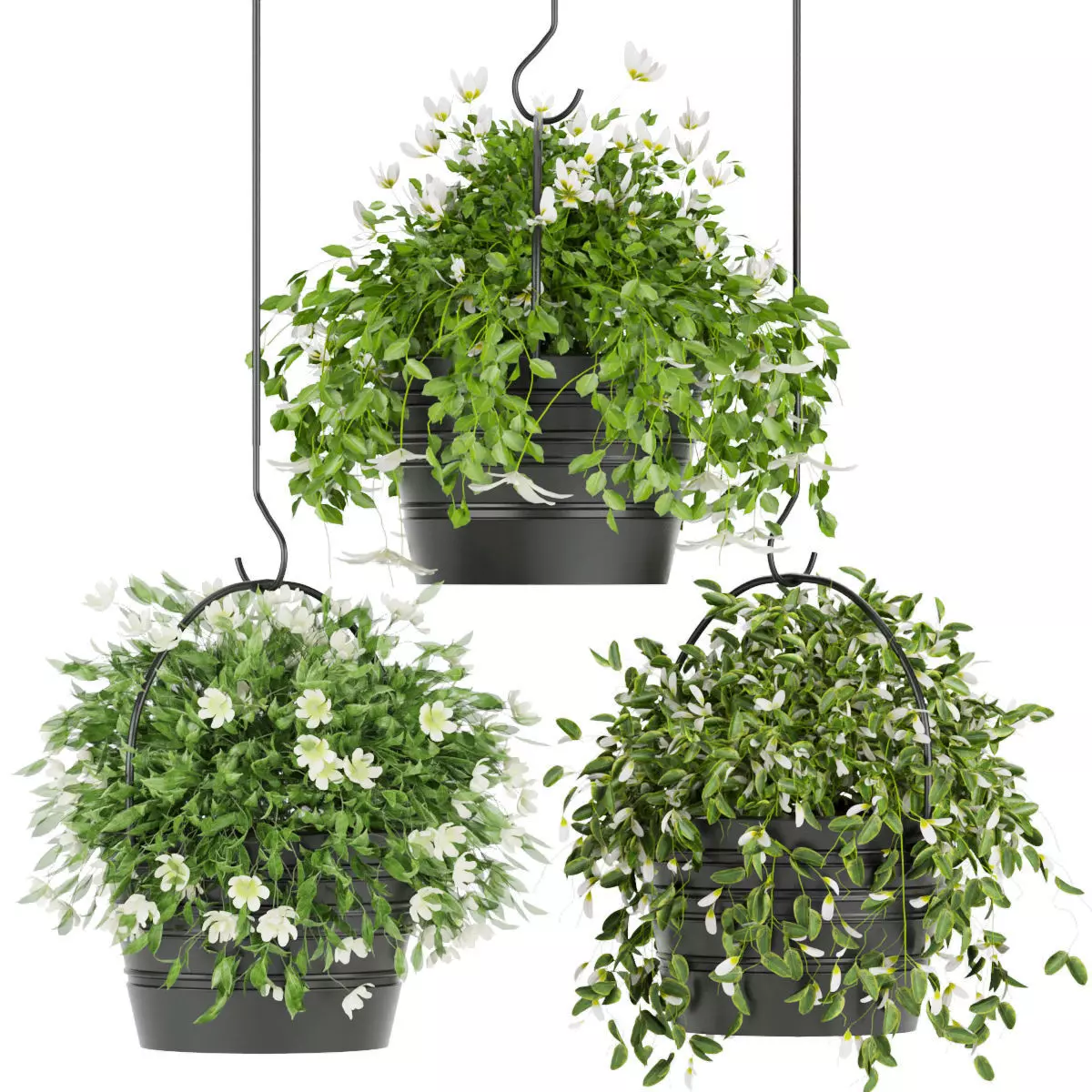 Collection plant vol 66 3D model_0