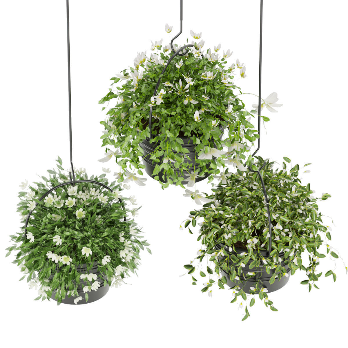 Collection plant vol 66 3D model_1