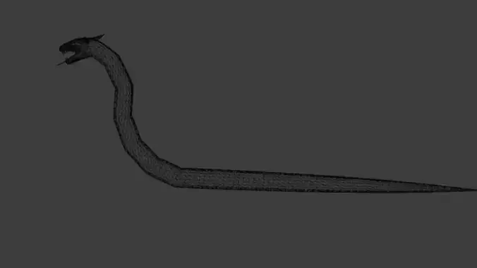 Manda dragon head 3D model