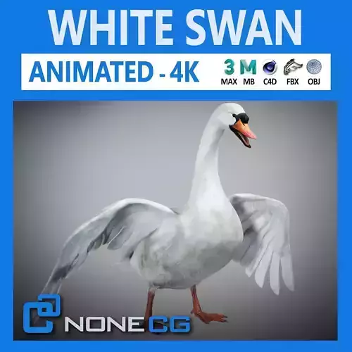 Animated Swan 3D model