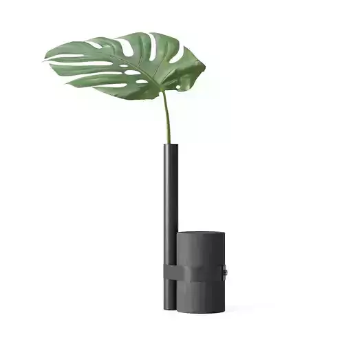 Wentz - Pos-Tropical Vase