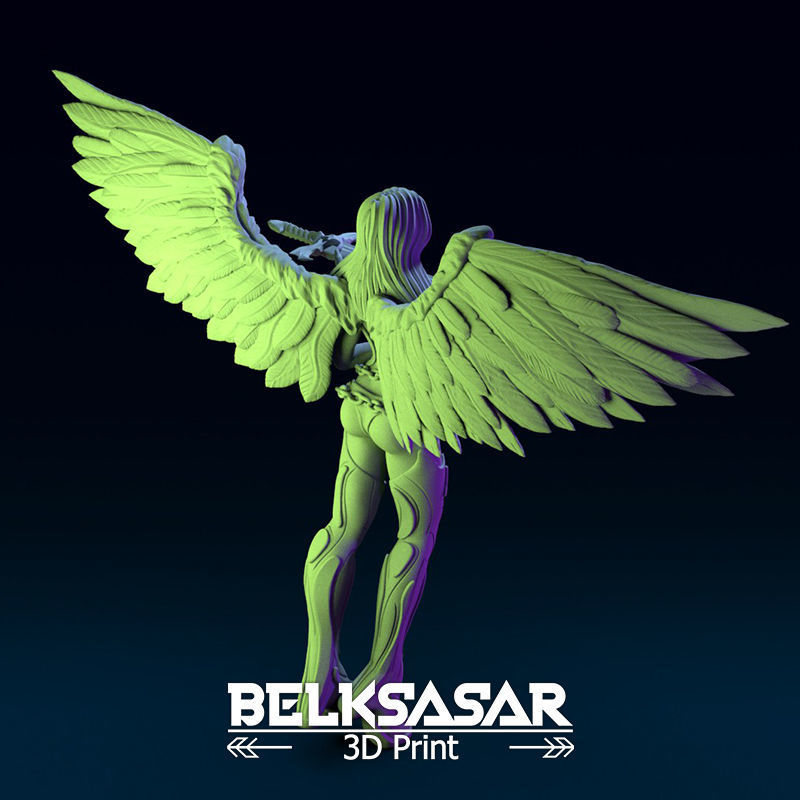 Chosen Angel 3D print model_18