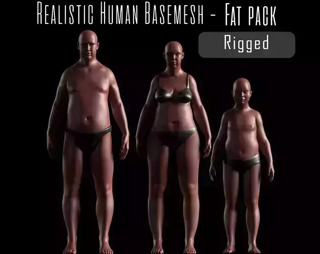 Realistic Human Basemesh - Rigged - UVMapped - Plus size Low-poly 3D model