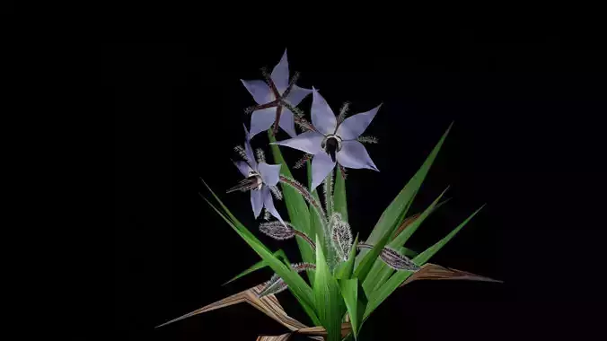 cartoon plant 3d model