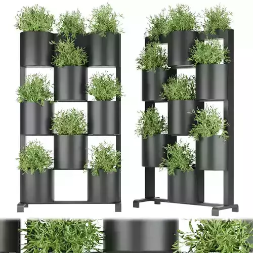 Collection plant vol 68 3D model