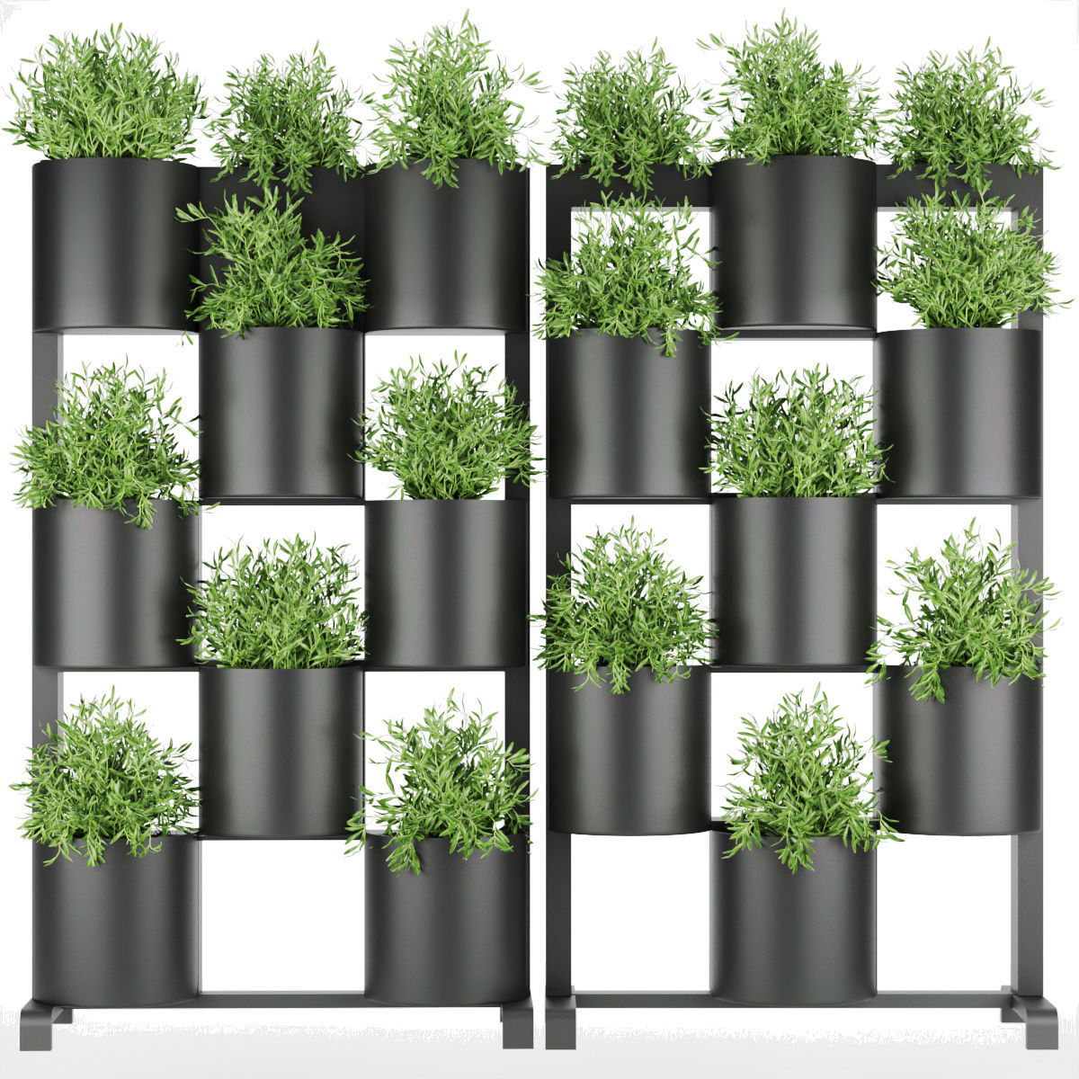 Collection plant vol 68 3D model_1