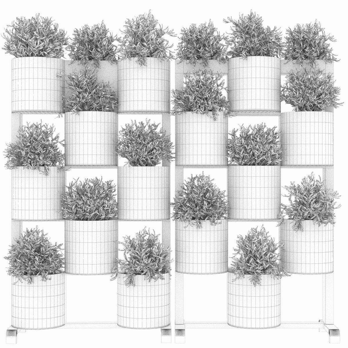 Collection plant vol 68 3D model_2