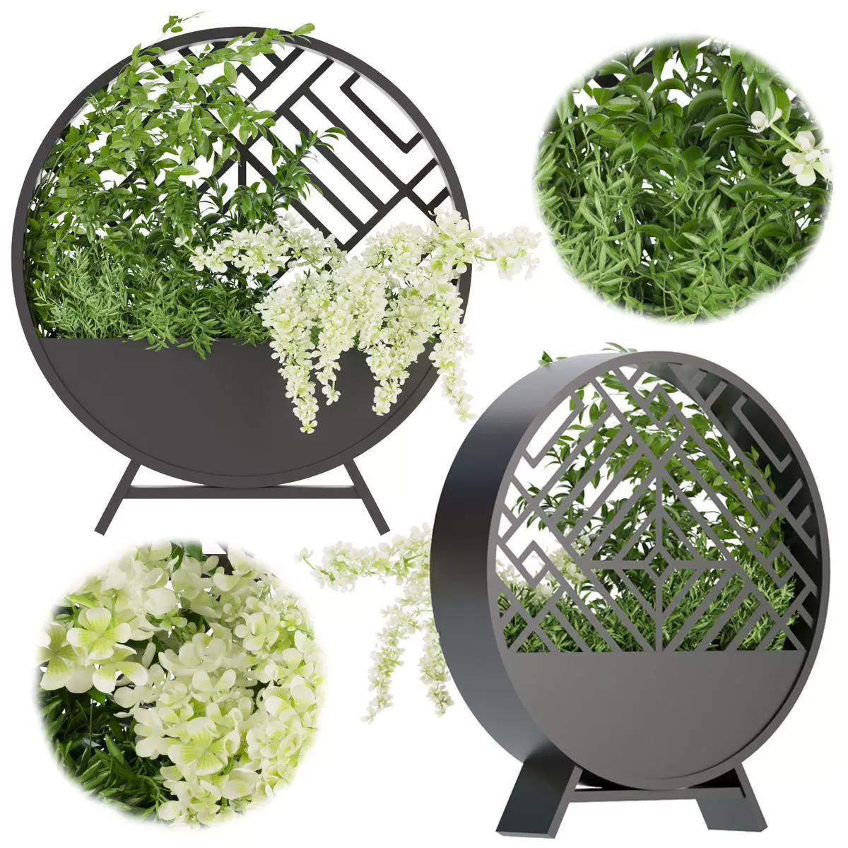 Collection plant vol 72 3D model