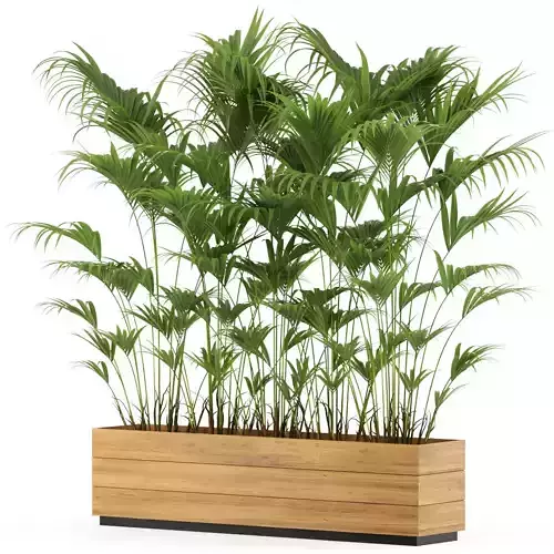 Plants collection 466 3D model