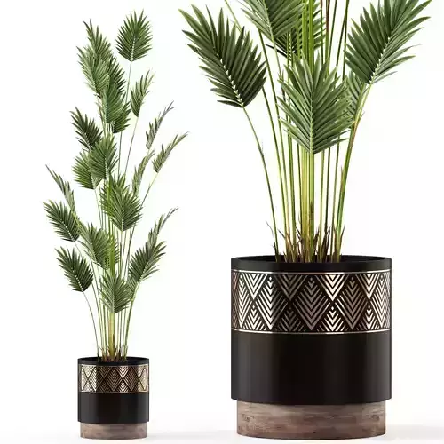 Plants collection 467 3D model