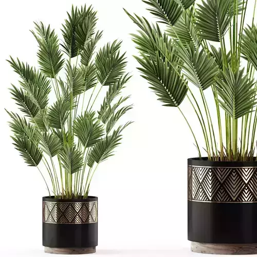 Plants collection 468 3D model