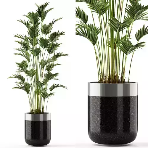 Plants collection 469 3D model