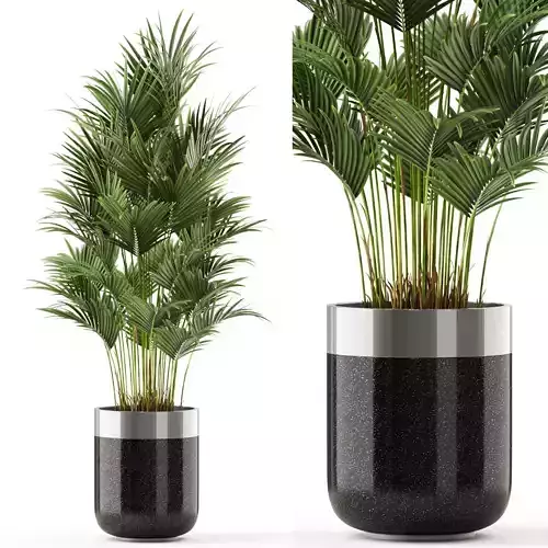 Plants collection 470 3D model