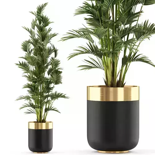Plants collection 471 3D model