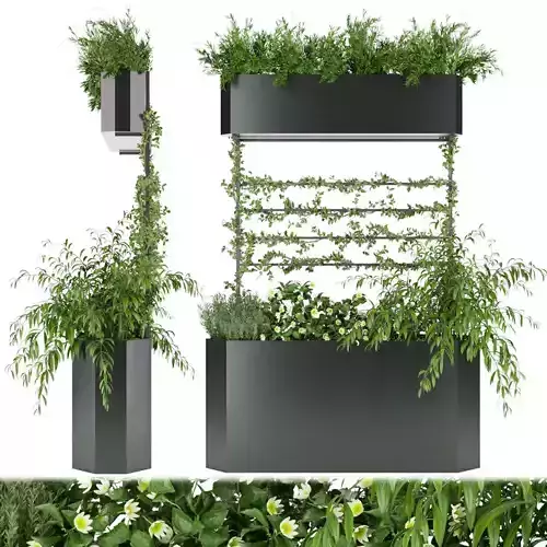 Collection plant vol 73 3D model
