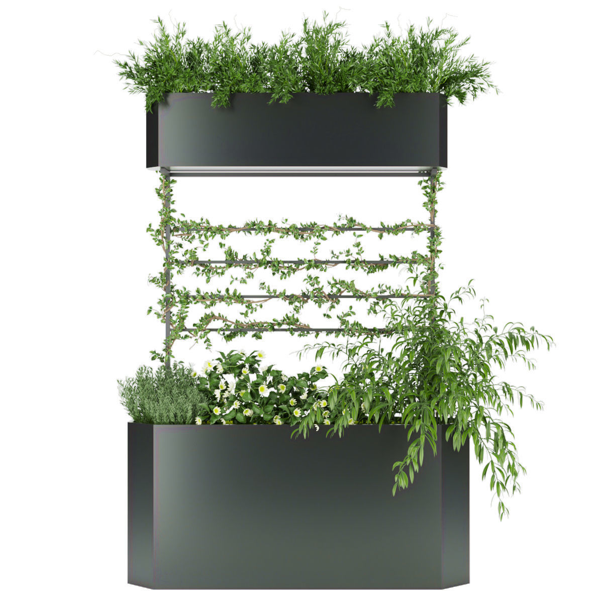 Collection plant vol 73 3D model_1