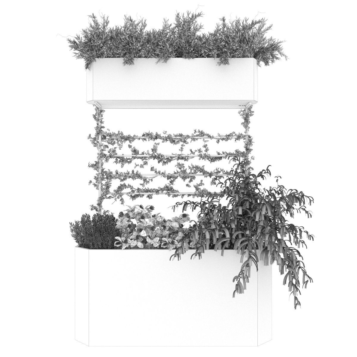 Collection plant vol 73 3D model_2