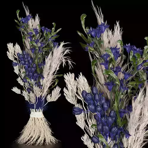 Collection plant vol 74