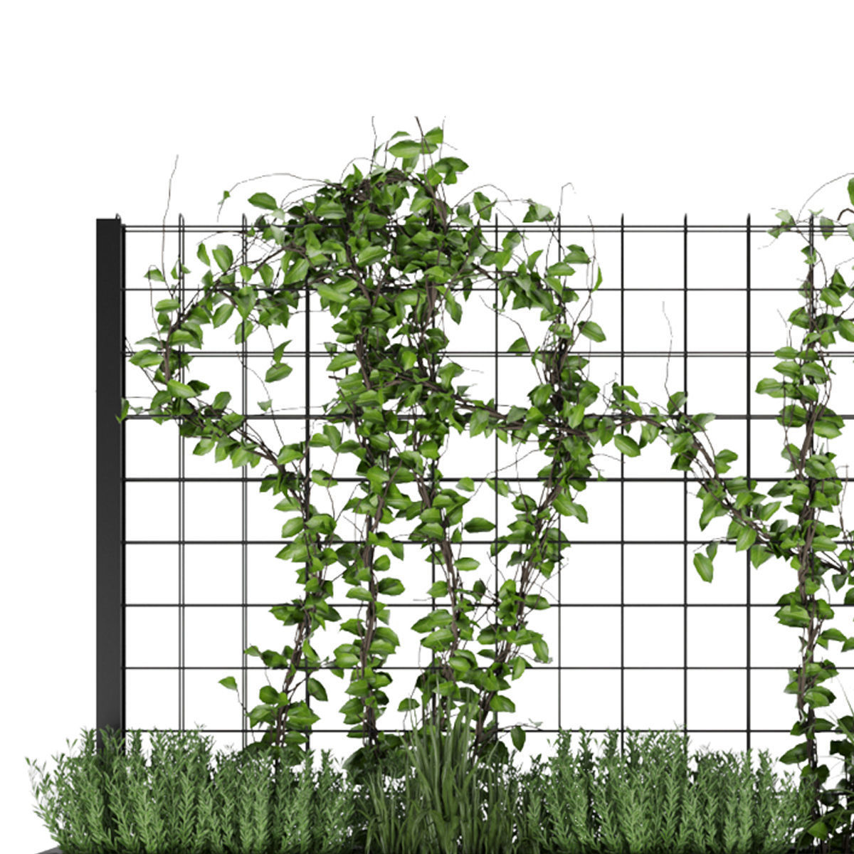 Collection plant vol 78 3D model_2