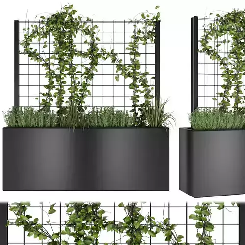 Collection plant vol 78 3D model