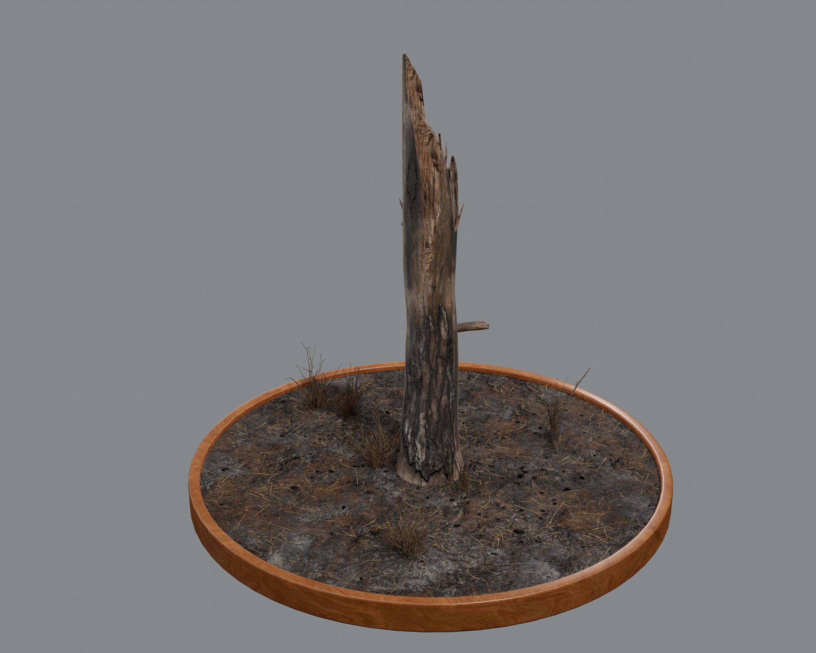 Nature Assets - Burnt Trees Low-poly 3D model_12