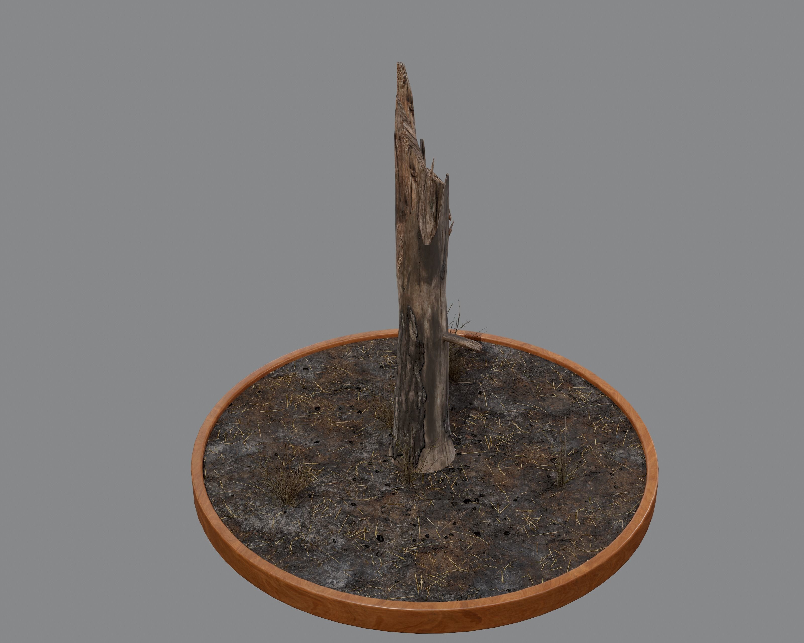 Nature Assets - Burnt Trees Low-poly 3D model_10