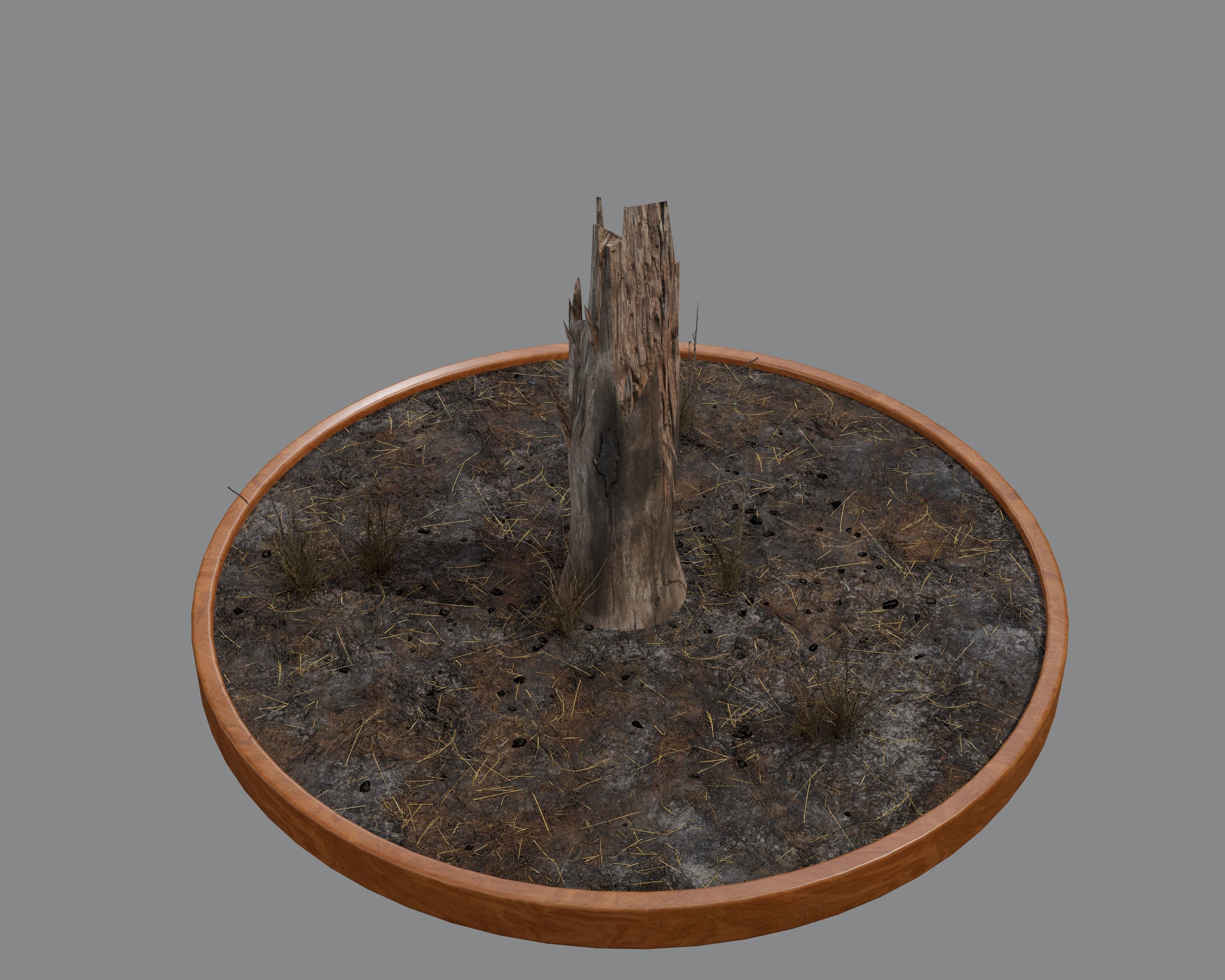 Nature Assets - Burnt Trees Low-poly 3D model_15