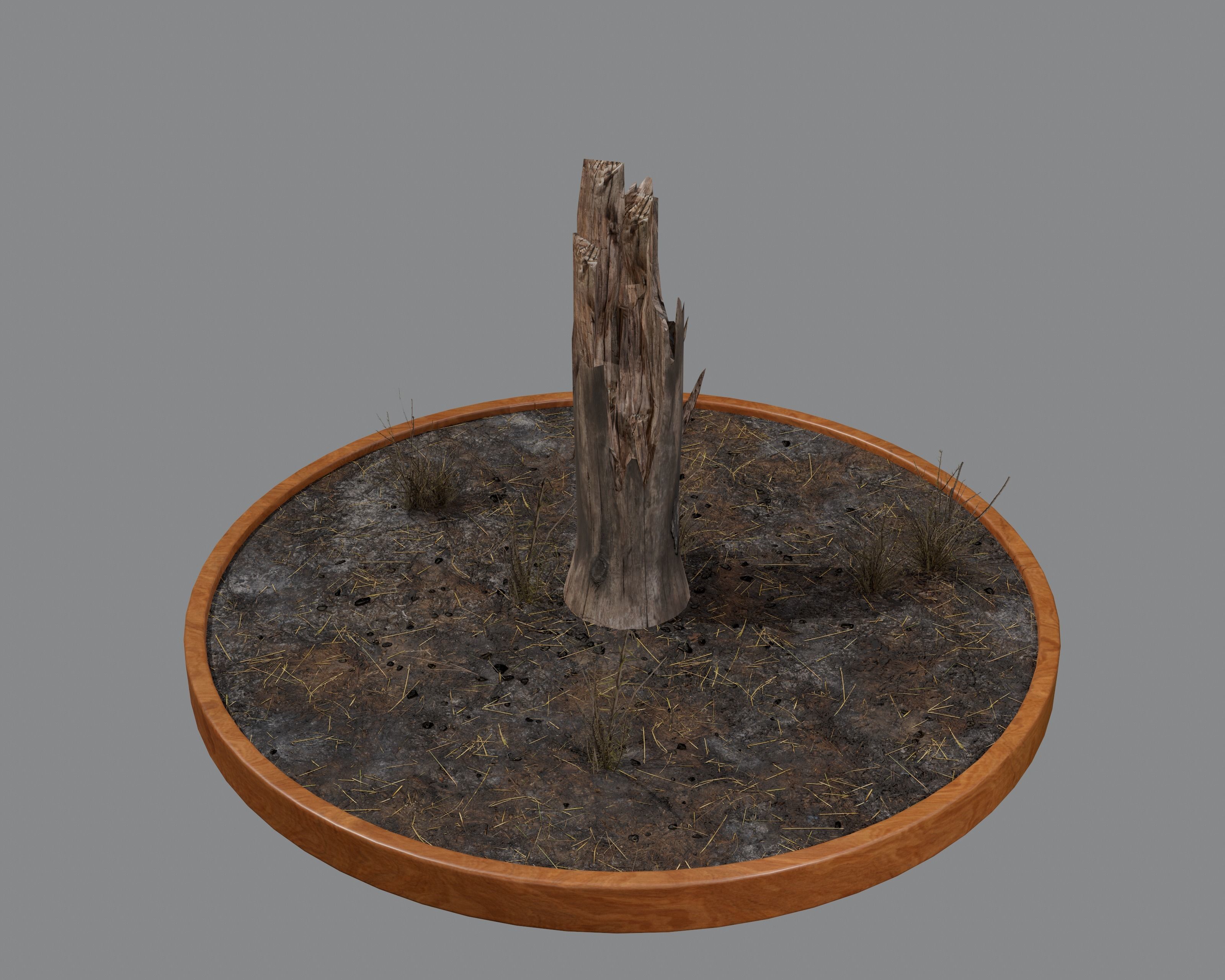 Nature Assets - Burnt Trees Low-poly 3D model_13
